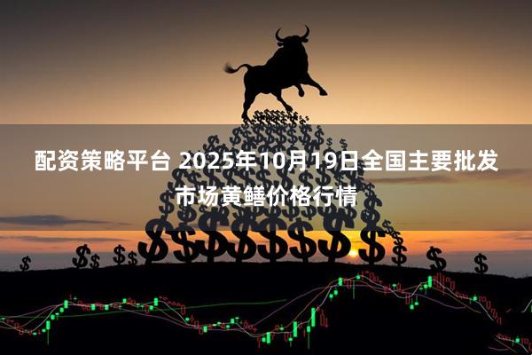 配资策略平台 2025年10月19日全国主要批发市场黄鳝价格行情