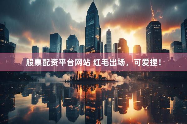 股票配资平台网站 红毛出场，可爱捏！
